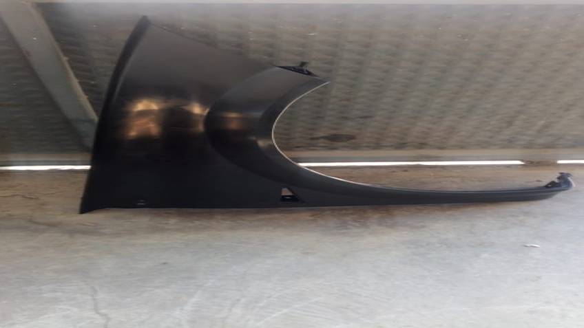 RENAULT MEGAN ÖN ÇAMURLUK 03-09 SAĞ