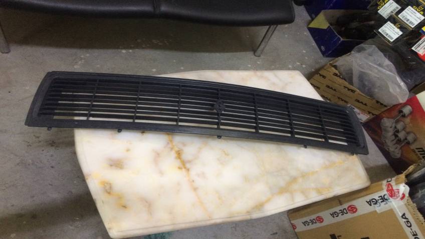 RENAULT12 TOROS ÖN PANJUR ORTA